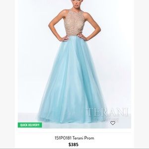 Size 6 Terani Evening Gown Worn only once